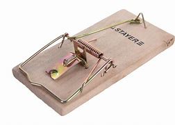 Мышеловка STAYER "STANDARD", деревянное основание, средняя