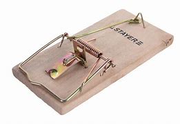 Мышеловка STAYER "STANDARD", пластиковая