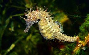 Конек без р/ж 2м (100*100мм) Zn 0.4